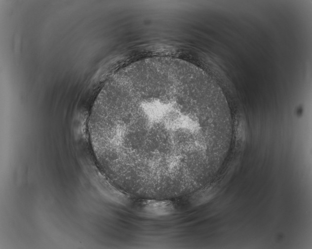 X0000114660185200912011144