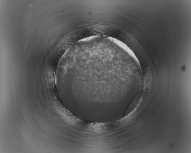 X0000114660186200912011144