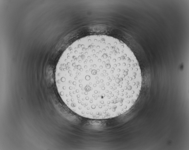 X0000114660187200912011144