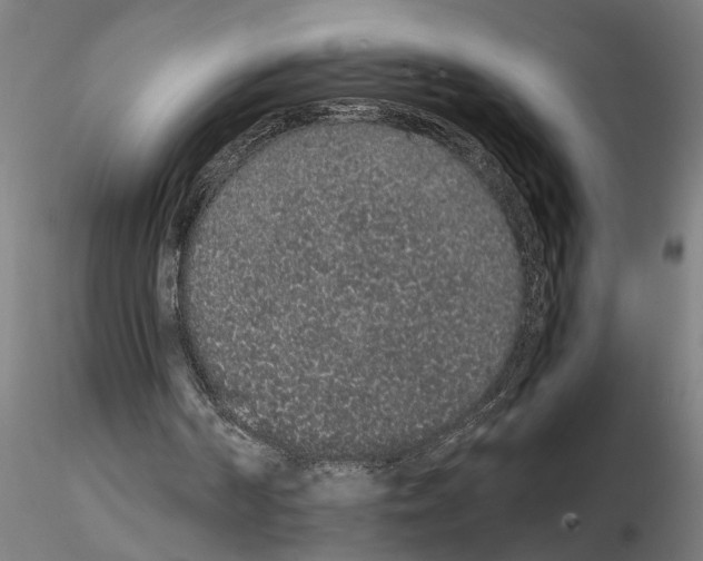 X0000114660194200912011143