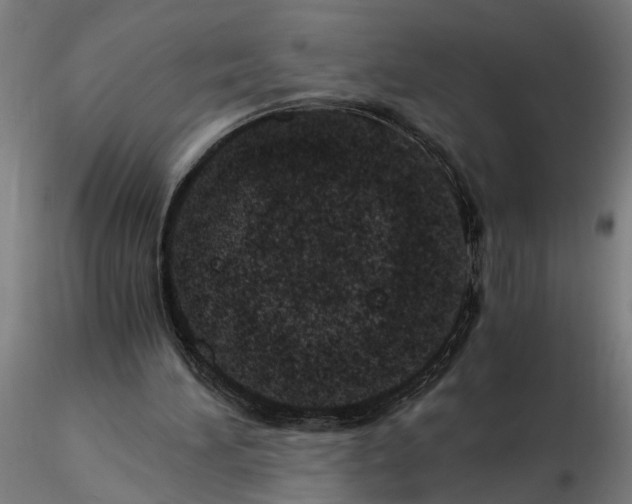 X0000114660196200912011143