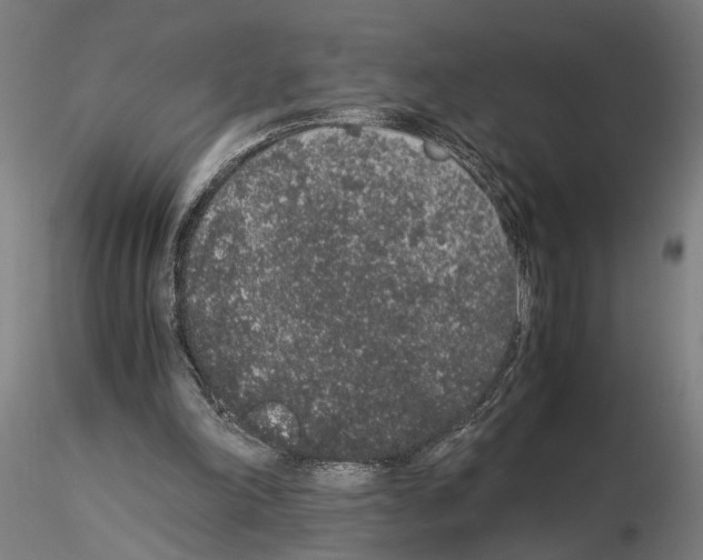 X0000114660198200912011143