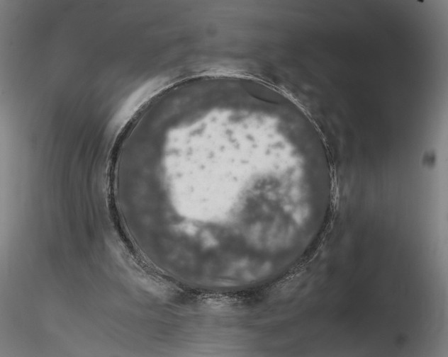 X0000114660199200912011143