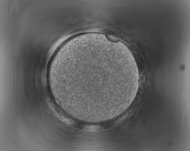 X0000114660200200912011143