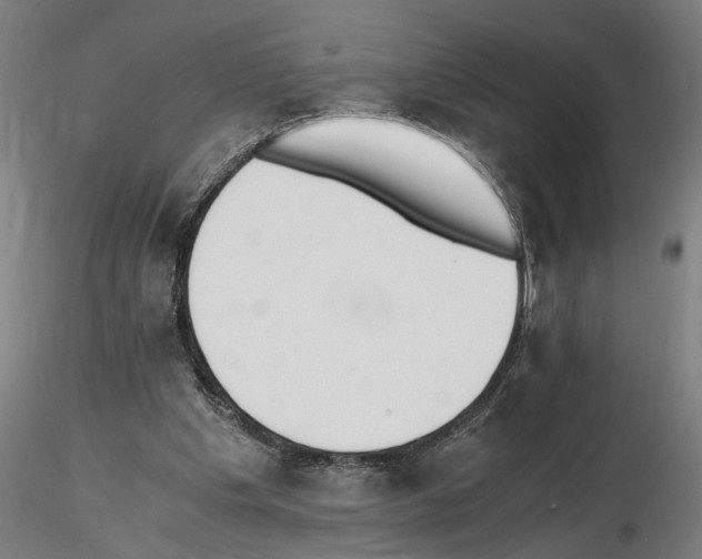 X0000114660201200912011143