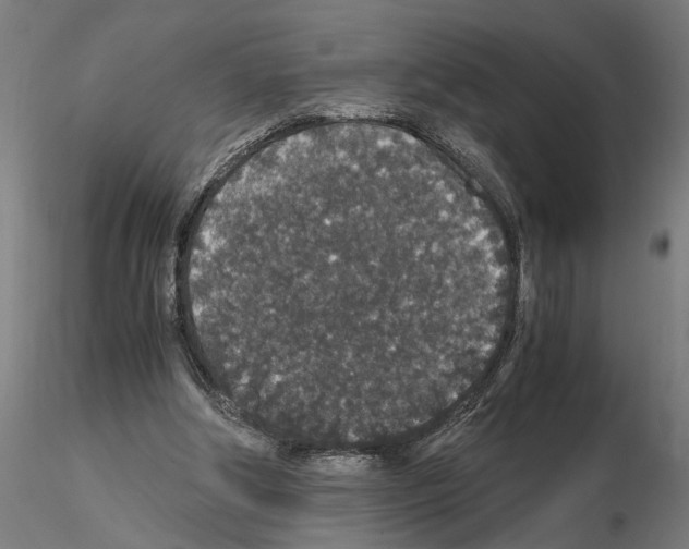 X0000114660202200912011143