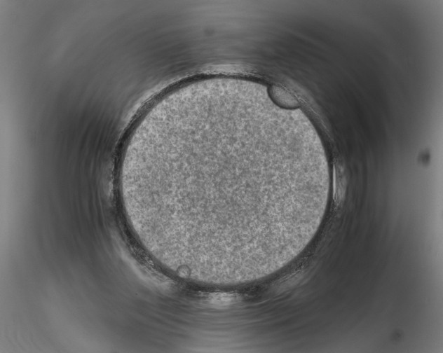 X0000114660204200912011143