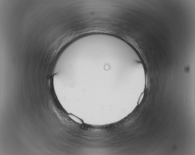 X0000114660205200912011143