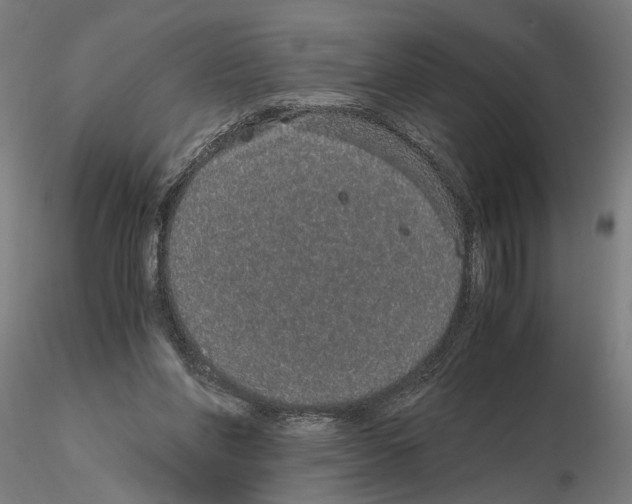 X0000114660206200912011143