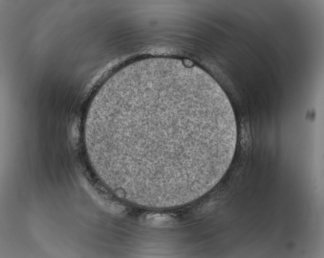 X0000114660208200912011143