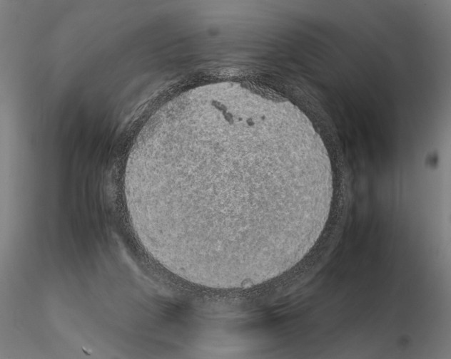 X0000114660210200912011143