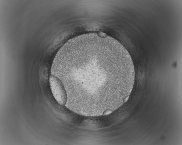 X0000114660211200912011143