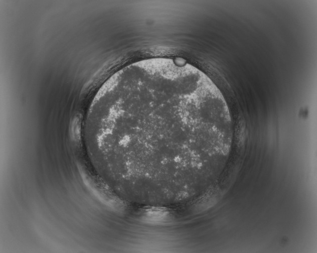 X0000114660214200912011143