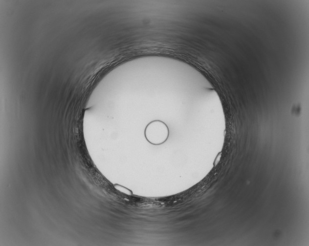X0000114660215200912011143
