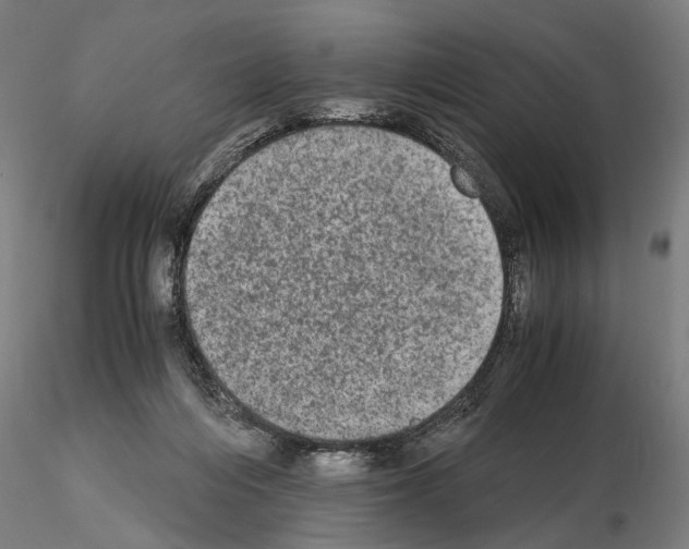 X0000114660216200912011143