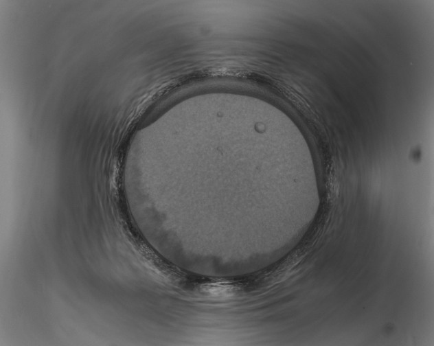 X0000114660219200912011143