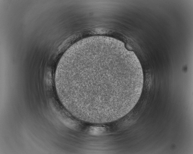 X0000114660220200912011143