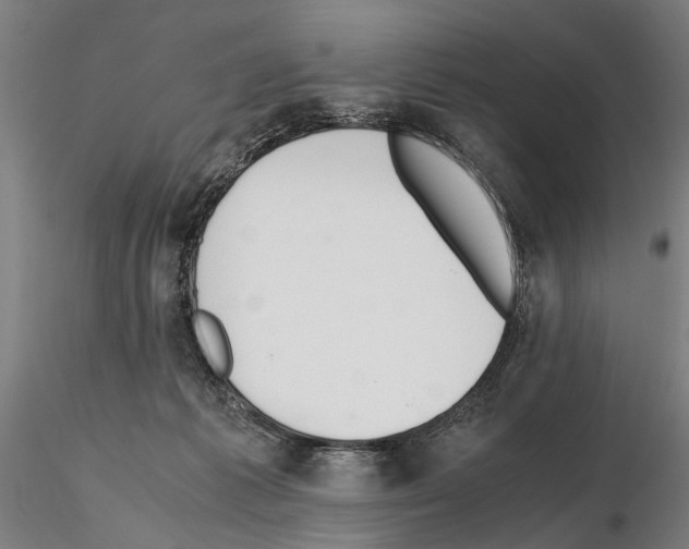 X0000114660221200912011143