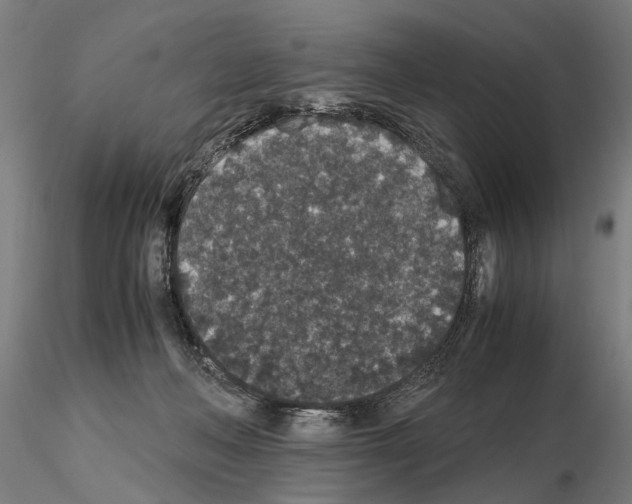 X0000114660222200912011143