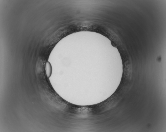 X0000114660225200912011143