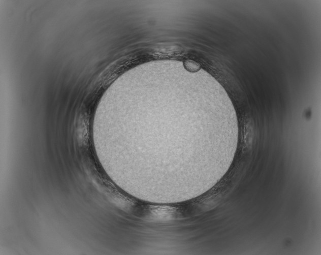 X0000114660226200912011143