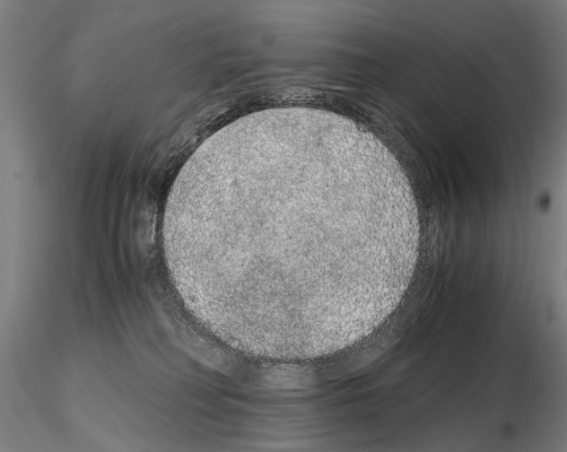 X0000114660230200912011143