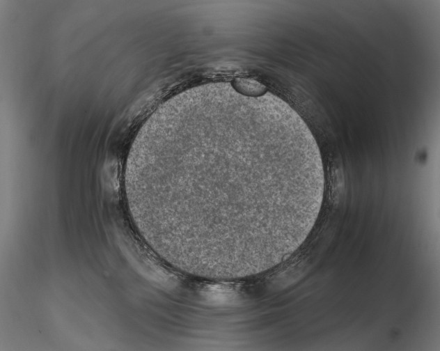 X0000114660232200912011143