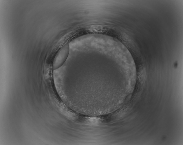 X0000114660233200912011143