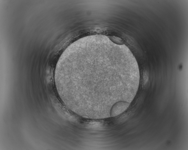 X0000114660236200912011143