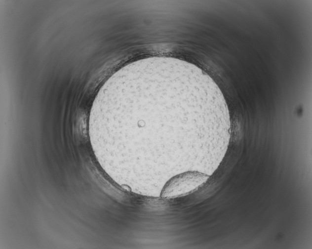 X0000114660238200912011143