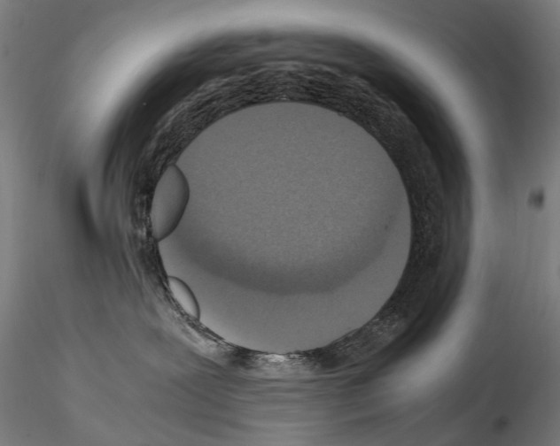 X0000114660239200912011143