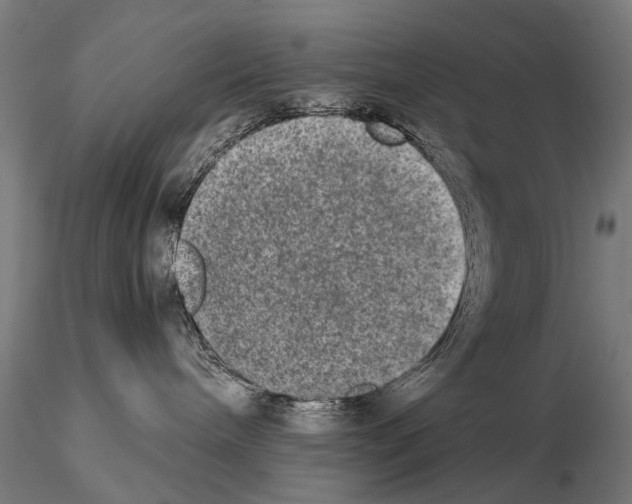 X0000114660240200912011143