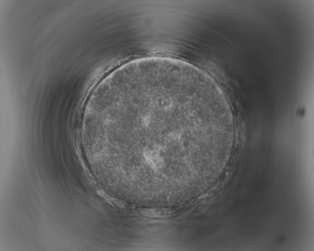 X0000114660241200912011142