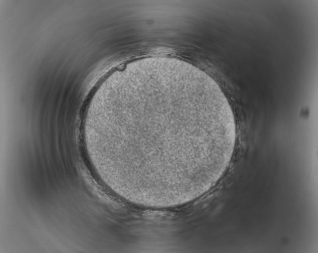 X0000114660242200912011142