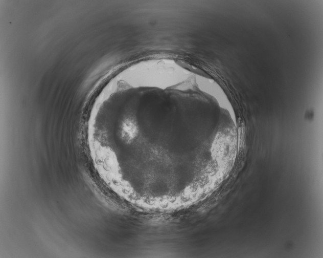 X0000114660243200912011142