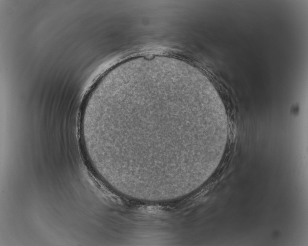 X0000114660244200912011142