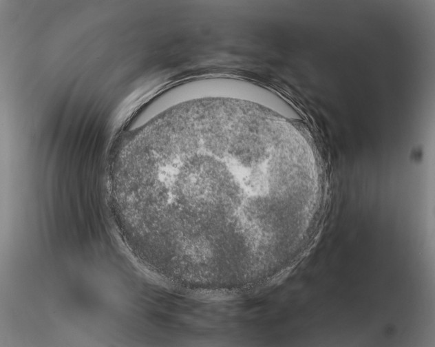 X0000114660245200912011142