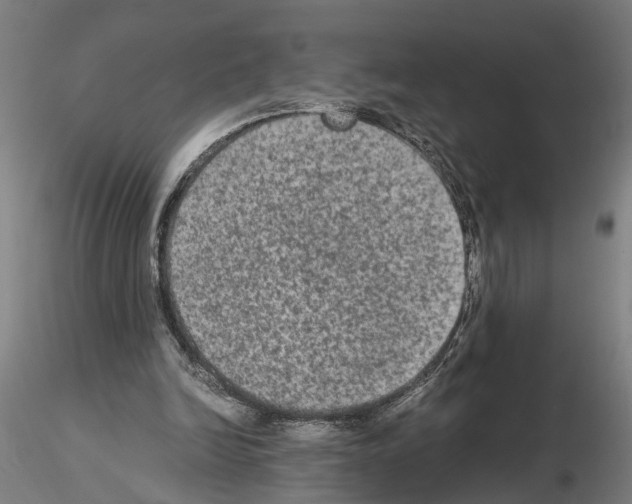 X0000114660246200912011142