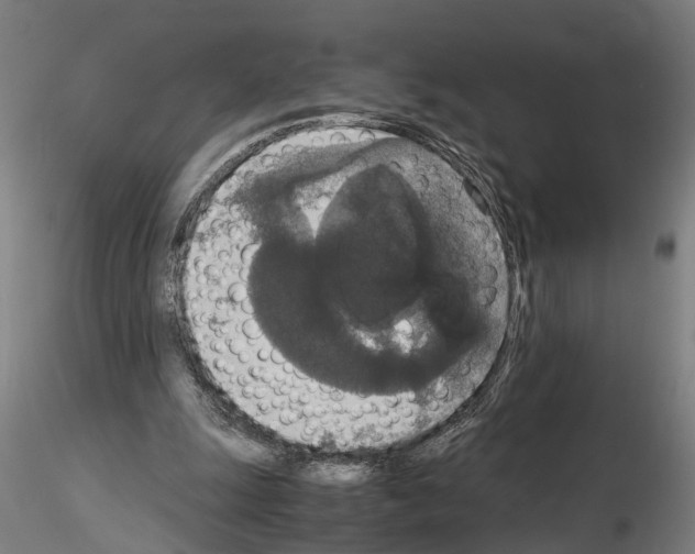 X0000114660247200912011142