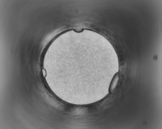 X0000114660248200912011142