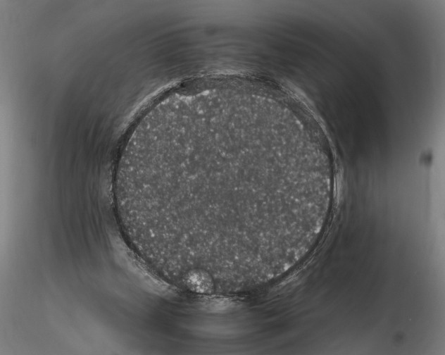 X0000114660249200912011142