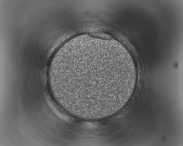 X0000114660250200912011142