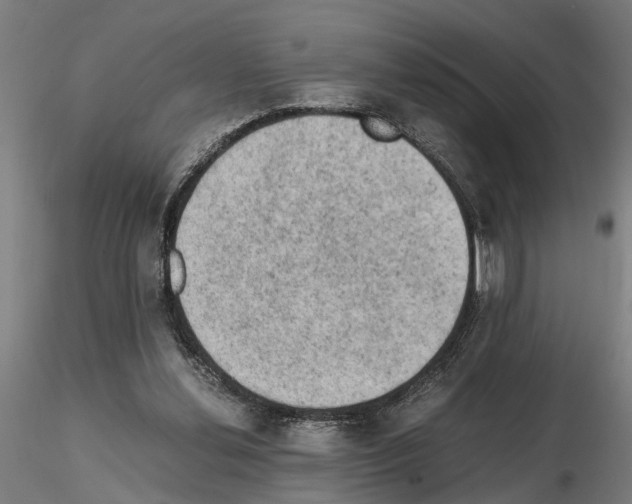 X0000114660252200912011142