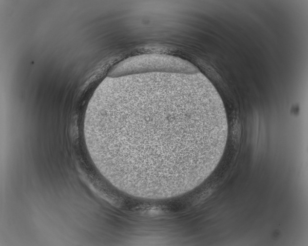 X0000114660254200912011142