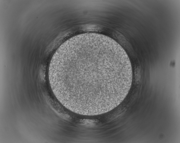 X0000114660255200912011142