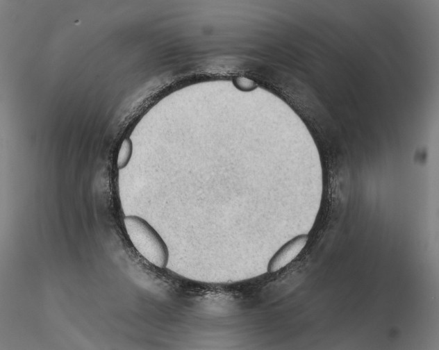 X0000114660256200912011142