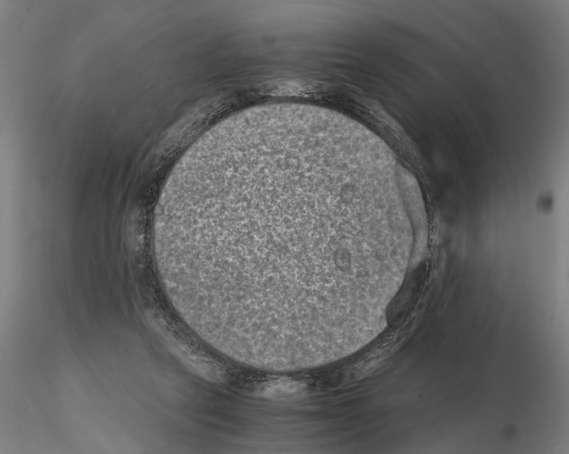 X0000114660257200912011142