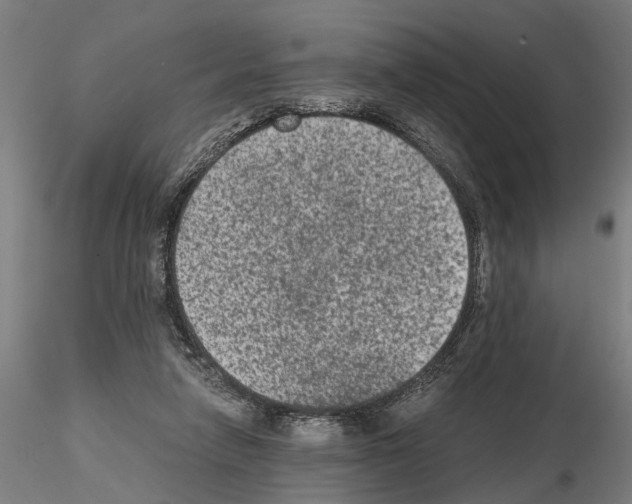 X0000114660258200912011142