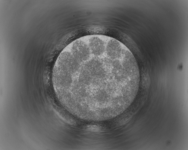 X0000114660259200912011142