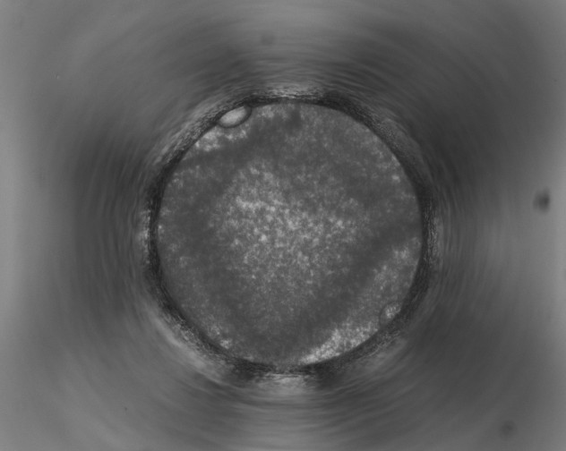 X0000114660260200912011142